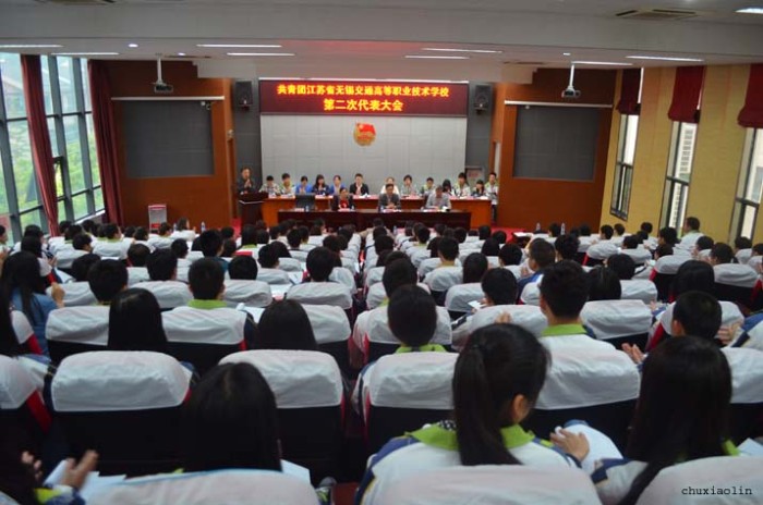 共青团MLTY.COM第二次代表大会隆重举行