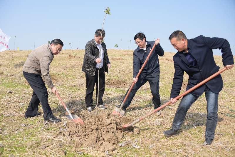 1555919519764095426.jpg QQ图片20190422151315.jpg